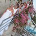Same Love in Amalfi Coast Italy Wedding Photographer Pino Falcone